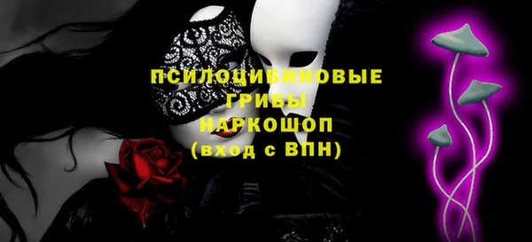 бошки Лагань