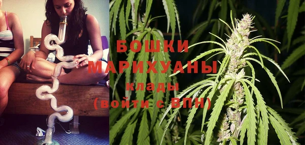 бошки Лагань