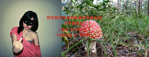 гидра Ладушкин